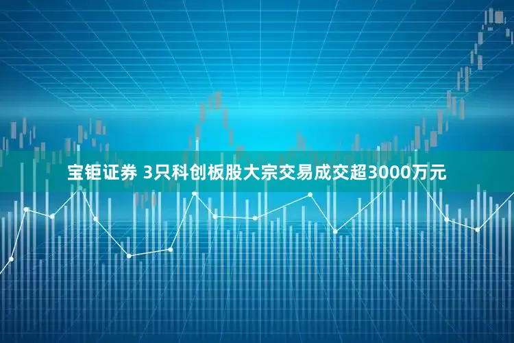 宝钜证券 3只科创板股大宗交易成交超3000万元