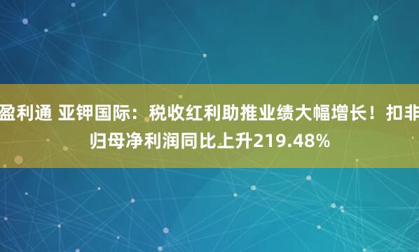 盈利通 亚钾国际：税收红利助推业绩大幅增长！扣非归母净利润同比上升219.48%
